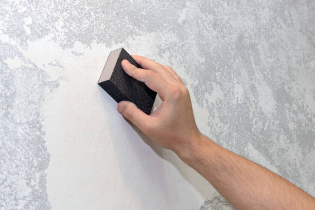 Best Emergency Mold Remediation  in Point Clear, AL