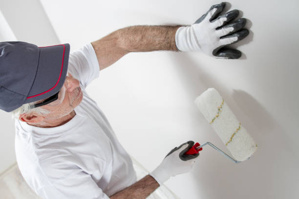 Best Real Estate Mold Inspection  in Point Clear, AL