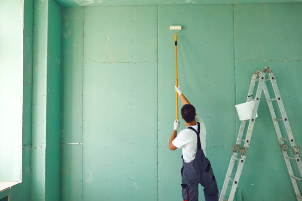 Best Black Mold Removal  in Point Clear, AL