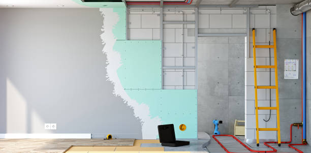 Best Basement Mold Removal  in Point Clear, AL