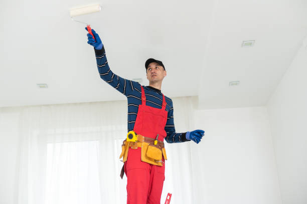 Best Water Damage & Mold Remediation  in Point Clear, AL